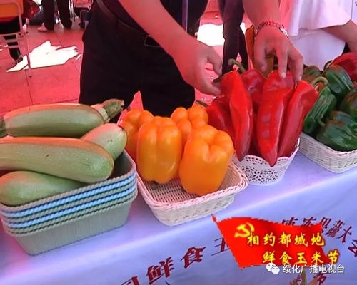寒地黑土農(nóng)產(chǎn)品芳香四溢 展銷洽談孕育無限商機