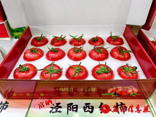 涇陽縣2026年“番茄領(lǐng)鮮 陜亮生活”農(nóng)產(chǎn)品產(chǎn)銷對接活動圓滿舉行