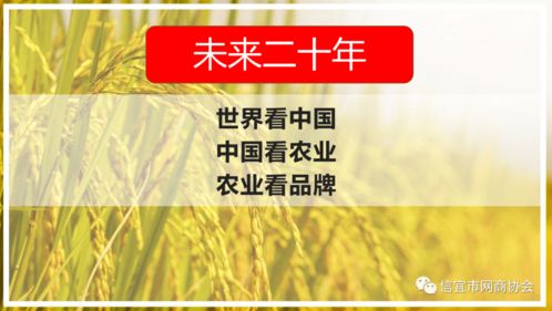 信宜這家農(nóng)業(yè)公司拿到4個商標(biāo)證 農(nóng)產(chǎn)品打造品牌的八步法